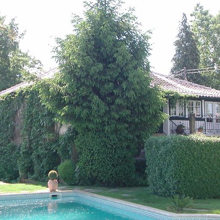 Готель Casa Da Quinta De S. Martinho Віла-Реал Екстер'єр фото